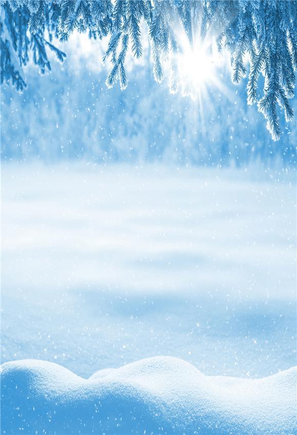 Winter Snow Photography Backdrops
