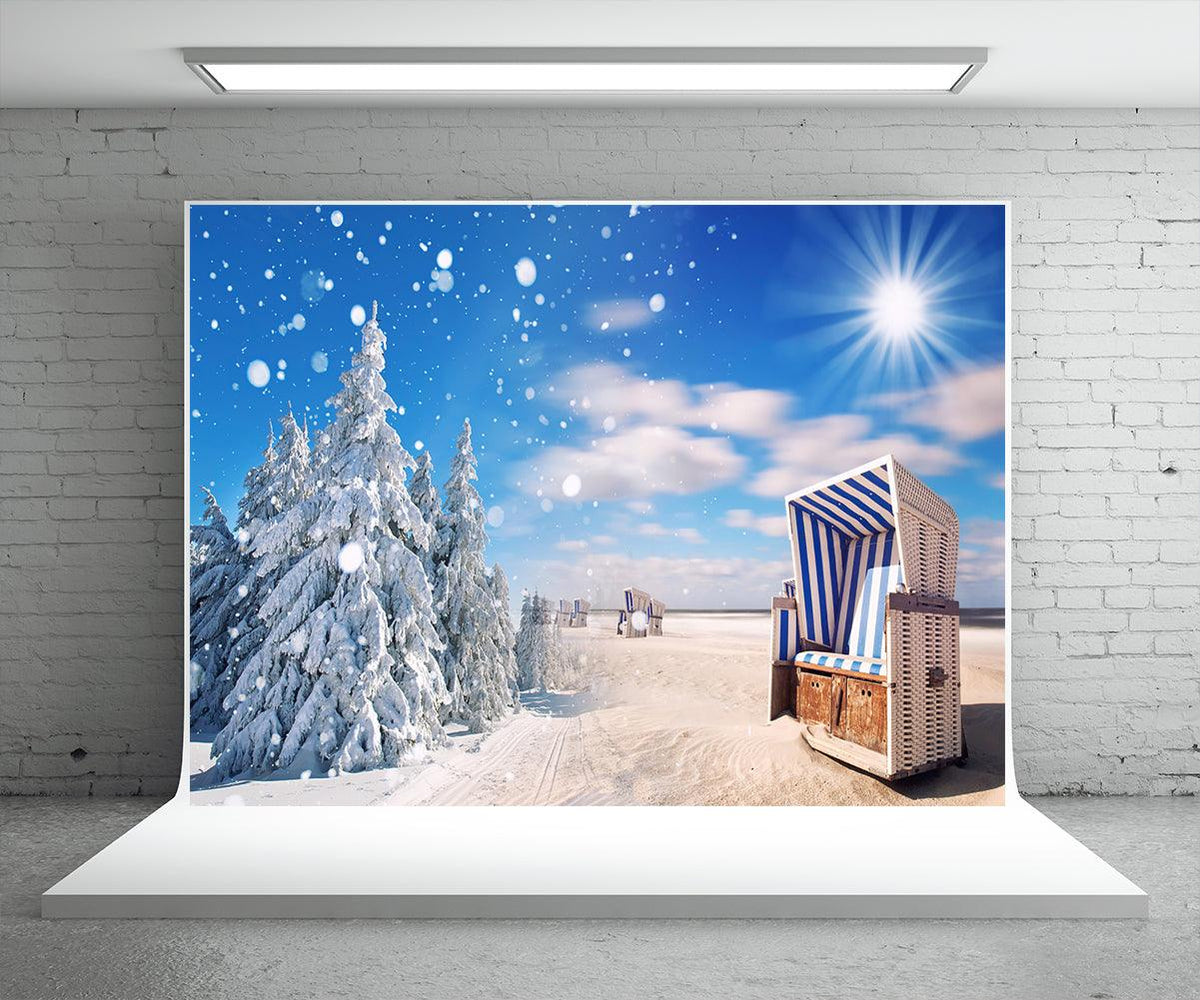Winter Snow Sunshine Photography Backdrop