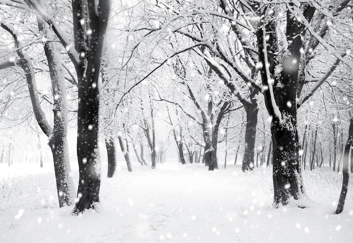 Winter Snow Photography Backdrop Snowflake Tree Background