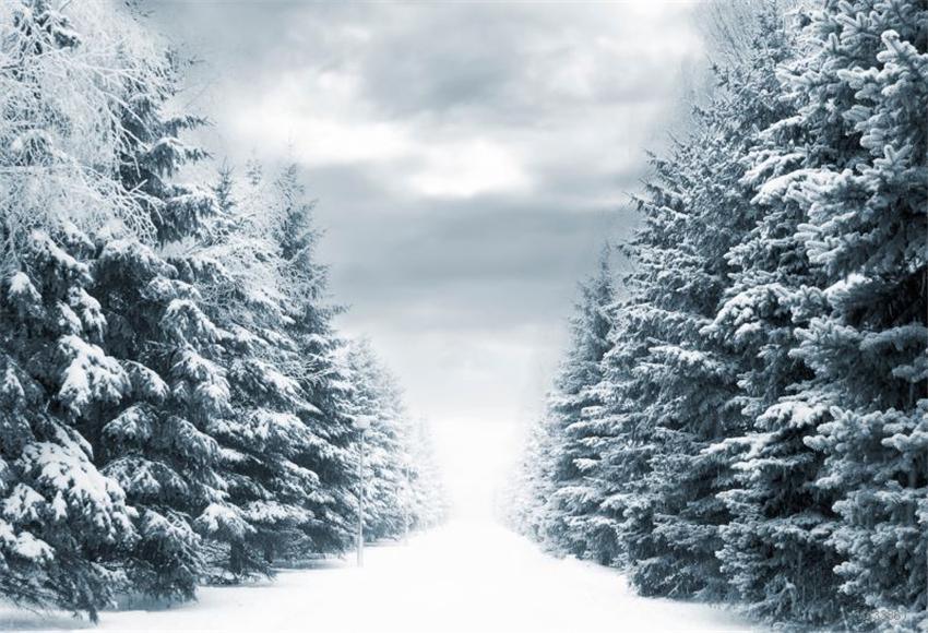 Winter Cloud Forest Snow Backdrop