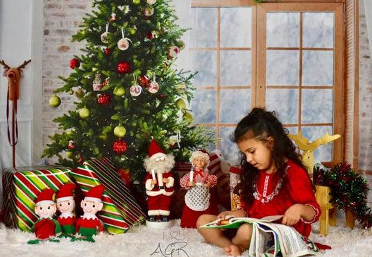 Window Christmas Photo Studio Backdrop