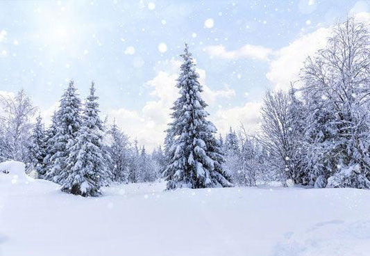 Snow Forest White Winter Wonderland Photography Backdrop