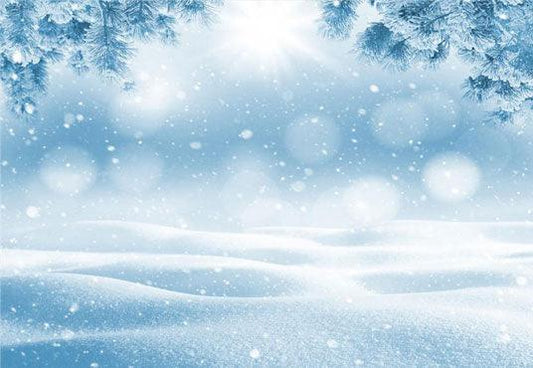 Winter Snowflake Sunshine Bokeh Backdrops for Photography Prop