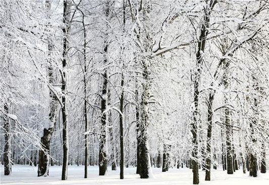 White Snow Winter Backdrop for Photography