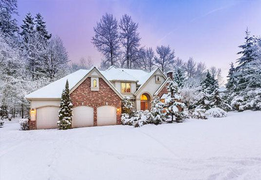 Winter Forest Snow Houses Photography Backdrop