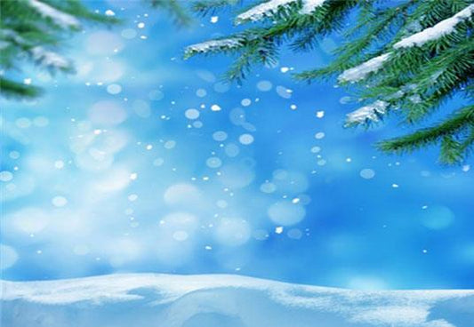 Winter Blue Sky Snow Backdrops for Photography