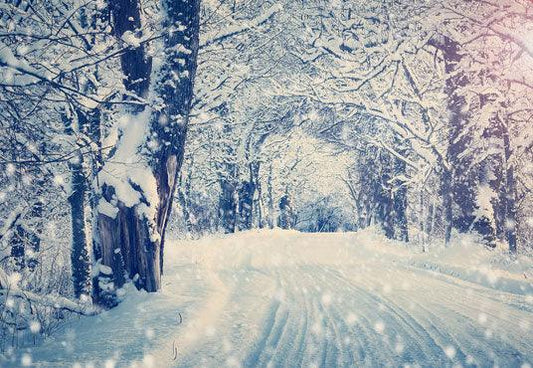 Snow Road  Winter Branches Photography Backdrop