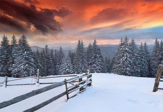 White Snow Cover Forest Photography Backdrop Winter Background
