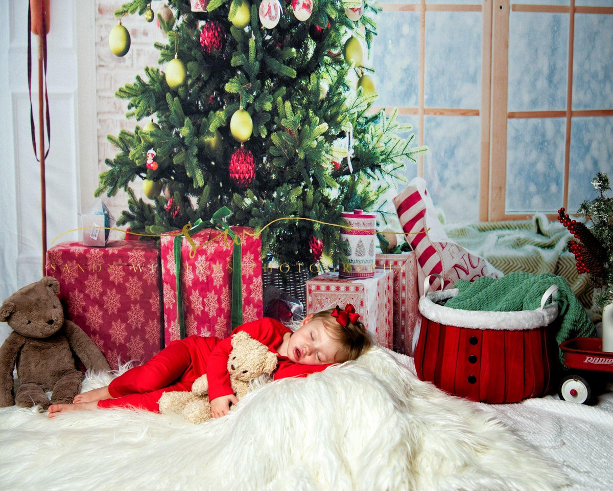Window Christmas Photo Studio Backdrop