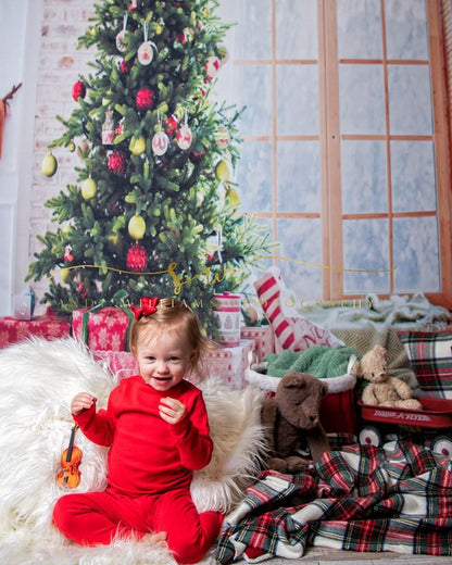 Window Christmas Photo Studio Backdrop