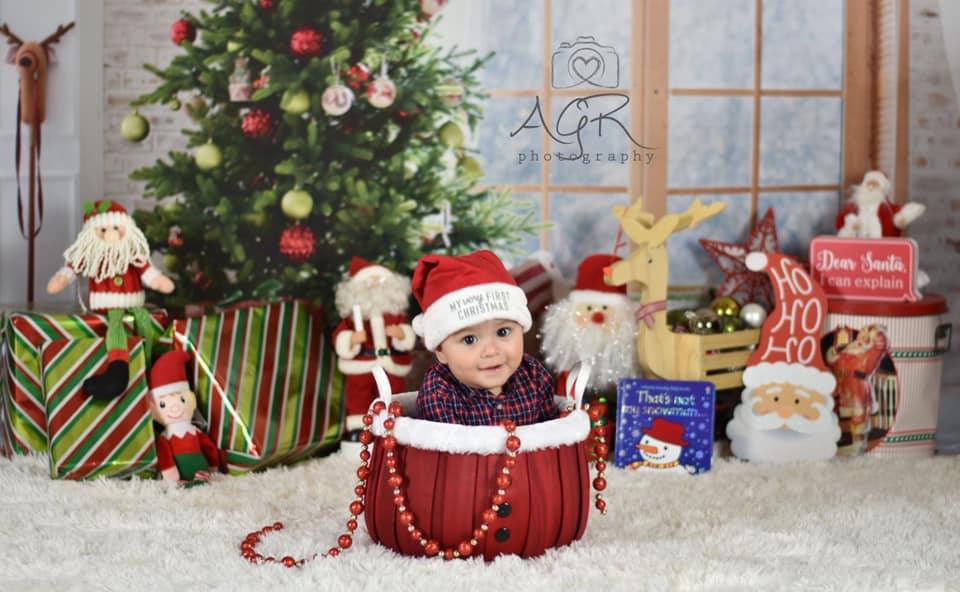 Window Christmas Photo Studio Backdrop