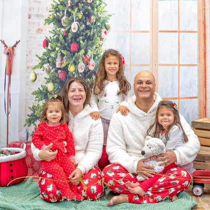 Window Christmas Photo Studio Backdrop