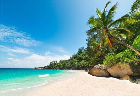 Tropical Beach Summer Backdrop