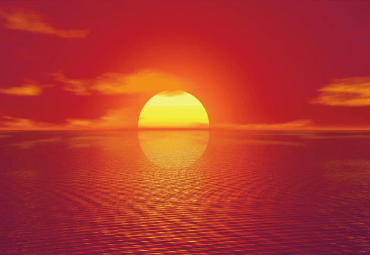 Summer Sunset Wonderland Backdrop for Photography