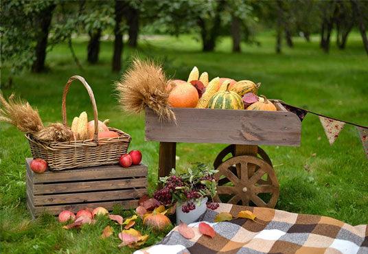 Autumn Pumpkin Photography Backdrop Prop for Picture