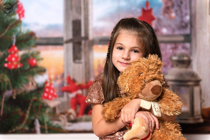 Window Snow Winter Christmas Backdrops for Studio