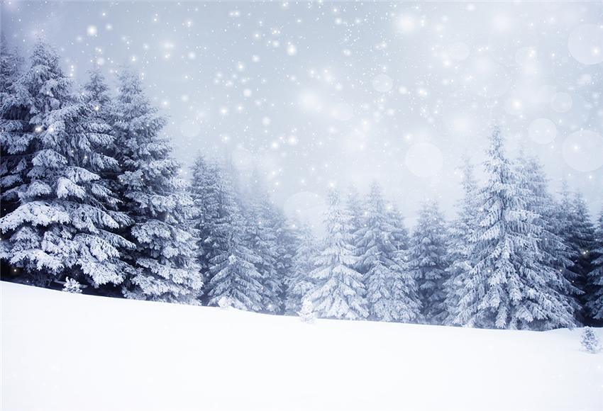 Winter Snow Forest Backdrop for Studio