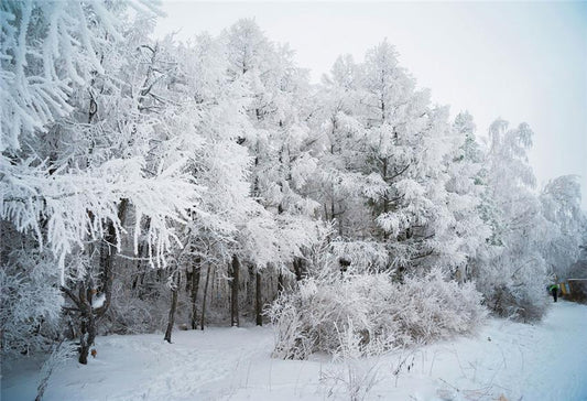 Winter Snow Branches Backdrops