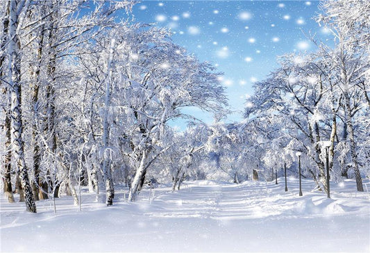 Snow Branches Winter Backdrop for Baby