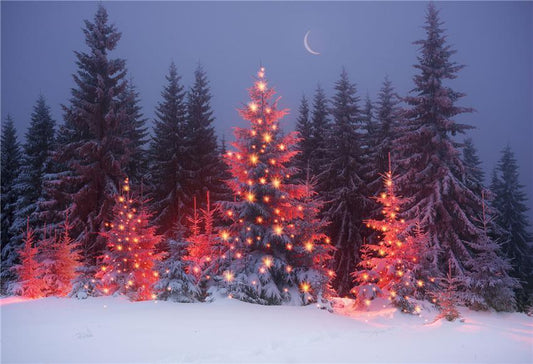 Winter Pine Snow Photography Backdrops