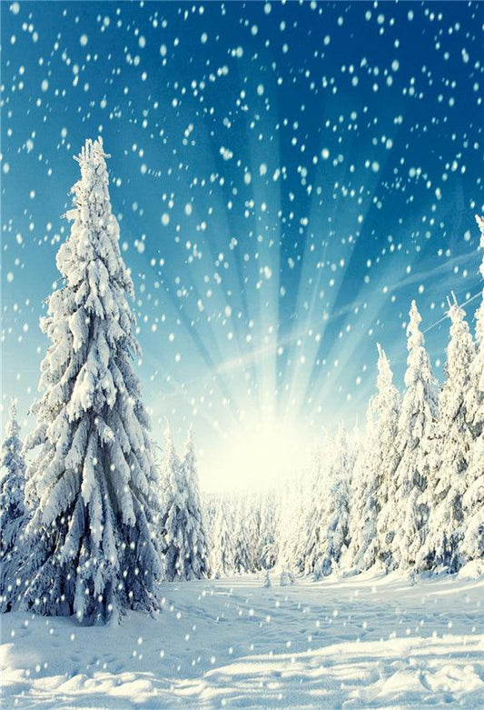 Winter Snowflake Forest Backdrop for Photography Prop