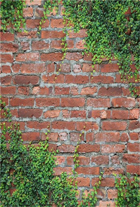 Red Brick Wall Green Leaves Vintage Backdrop