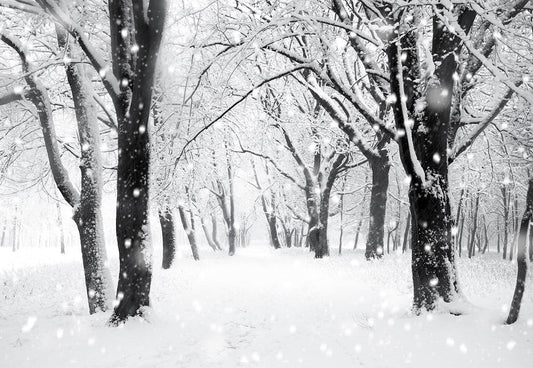 Winter Snow Photography Backdrop Snowflake Tree Background