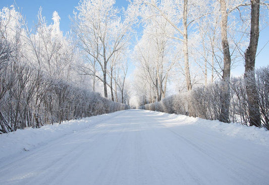 White Snow Road Photography Backdrop for Winter Session