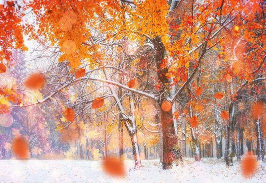 Red Maple Winter Snow Photography Backdrop for Photos