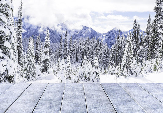 Winter White Snow Forest Wood Floor Photography Backdrop
