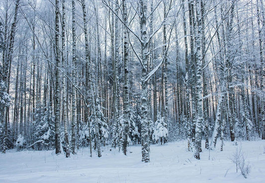 Snow Cover Forest Winter Photography Backdrop for Studio