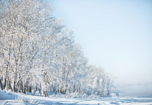 Winter Snow Branches Fog Photography Backdrop for Studio