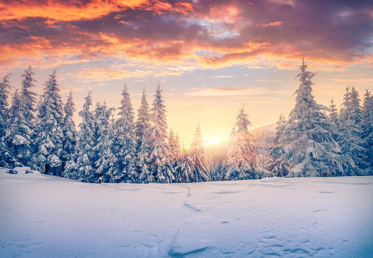 Winter Snowflake Snow Cover Forest Photo Backdrop