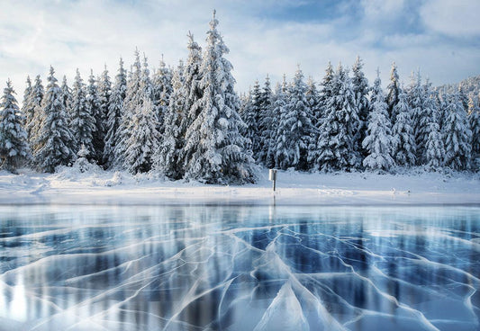Winter Snow River Ice Wonderland Pine Forest Backdrops for Photos