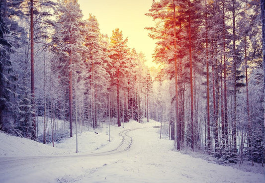 White Snow Cover Road Winter Backdrop for Photography