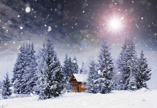Winter Snow Sunlight Forest Houses Photography Backdrop
