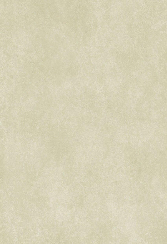 Portrait Light Abstract Backdrop for Photographer