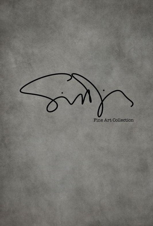 Simon Diez Art Grey Moonwalker Abstract Backdrop