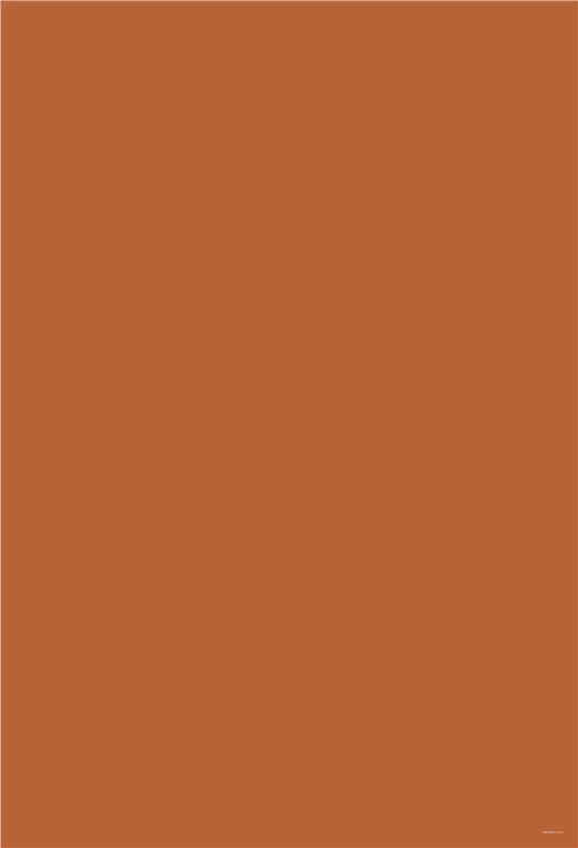 Dark Orange Solid Color Photography Backdrop for Photos