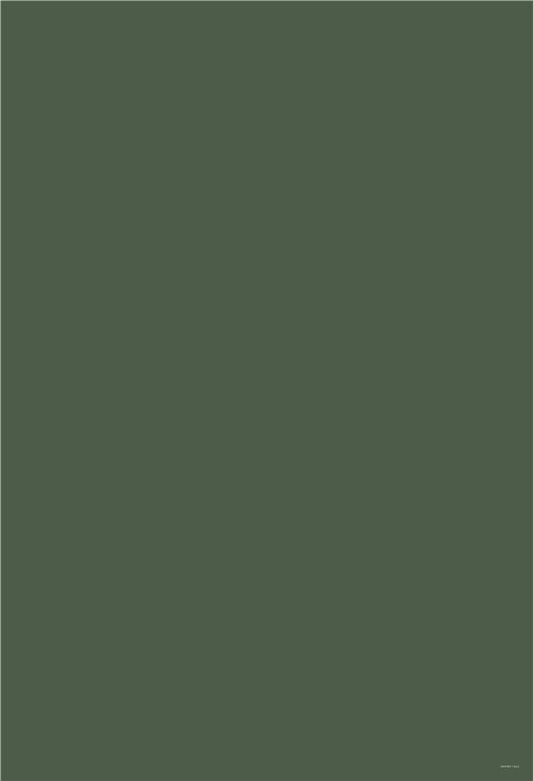 Dark Green Solid Color Photography Backdrop
