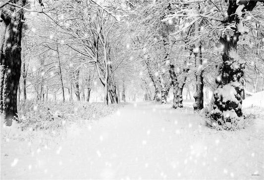 White Snow Winter Backdrop for Photo Booth Prop