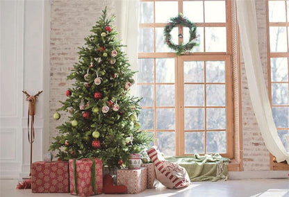 Window Christmas Photo Studio Backdrop