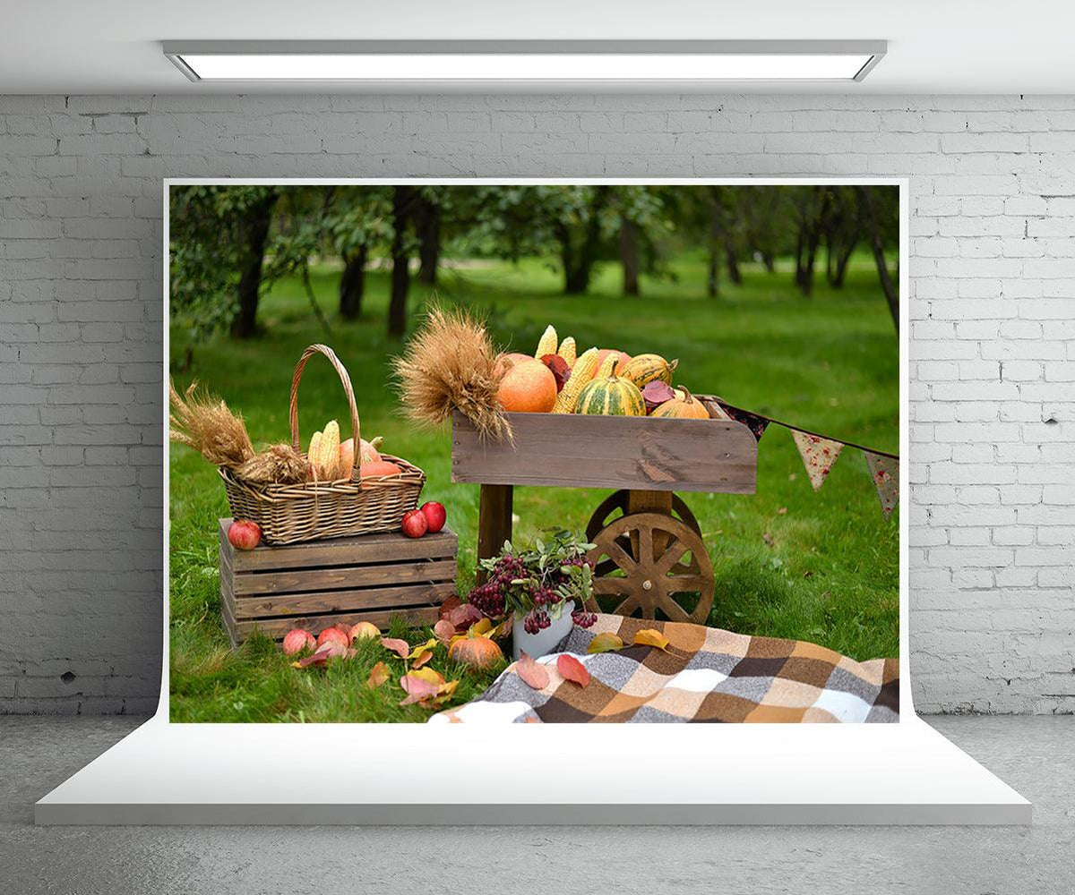 Autumn Pumpkin Photography Backdrop Prop for Picture