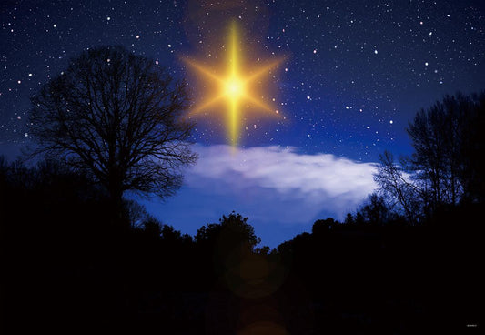 Night of Forest Shiny Star Backdrop for Photography