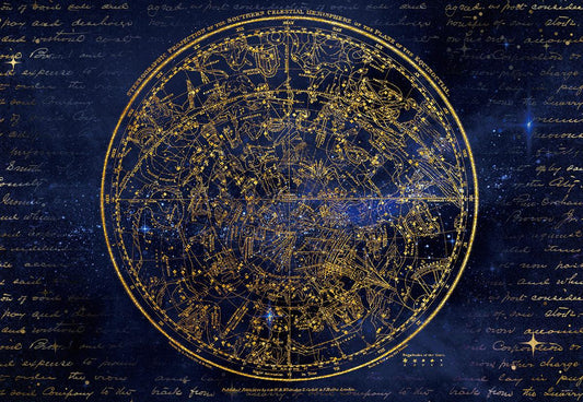 Magic Map School Backdrops for Students