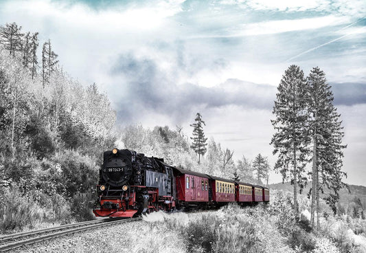 Winter Vintage Train Snow Tree Photo Backdrops