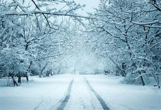 Snow Branches Winter Photo Studio Backdrop