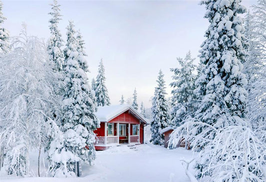 Winter White Snow Nature Photography Backdrop