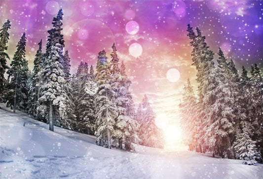 Winter Fabric Sunset Photo Backdrop for Studio