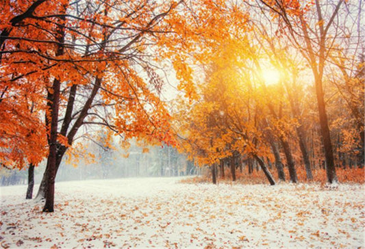 Fall Maple Snow Photography Backdrop